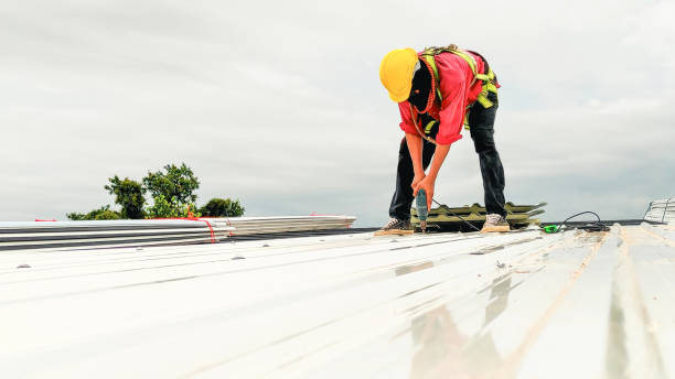 Professional Roofing Services in Macon, IL
