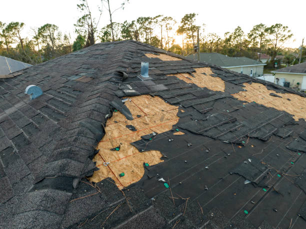 Best Steel Roofing  in Macon, IL